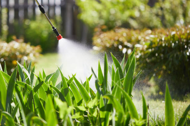 24/7 Emergency Wasp Removal experts in Four Oaks, NC