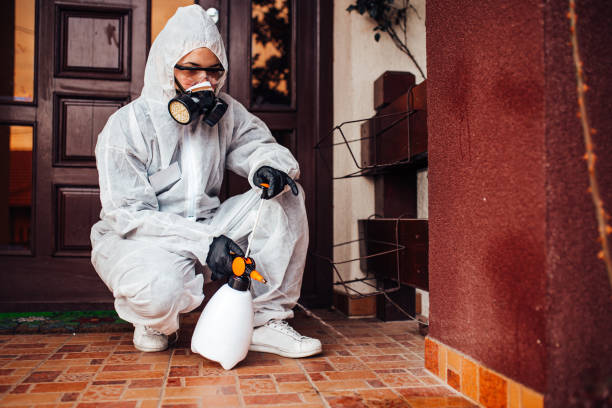 Reliable Wasp Removal contractor in Four Oaks, NC by Show Me Pest Control