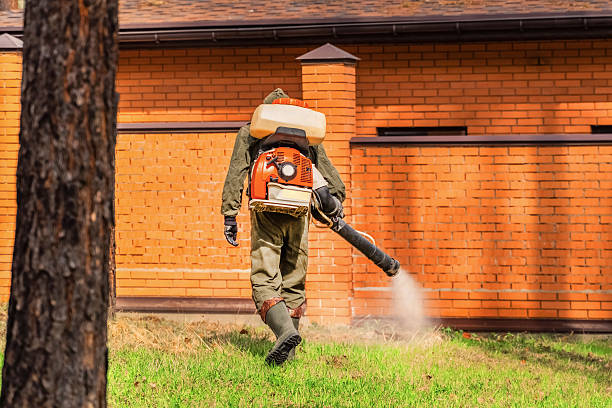 Top rated local Wasp Removal specialists in Four Oaks, NC